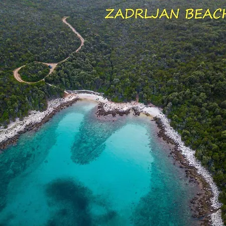 Life Takes Us To Unexpected Places Апартаменты Zapuntel